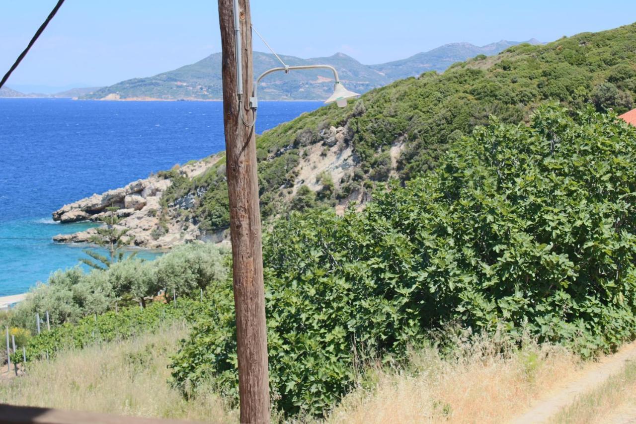 στούντιο πηνελόπη Διαμέρισμα