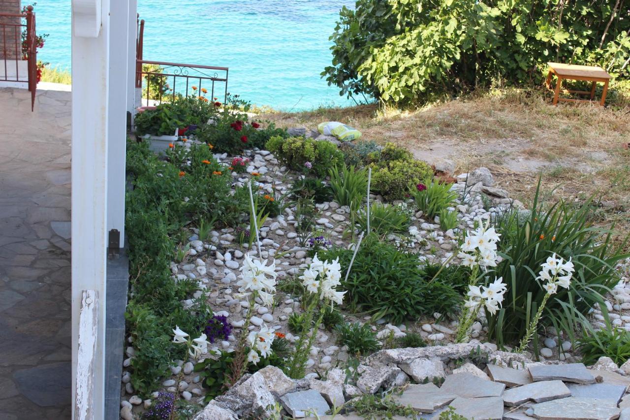 Διαμέρισμα στούντιο πηνελόπη Κοκκάρι